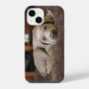 Search for weimaraner cases Dog