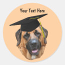 Search for funny graduation stickers Humourous