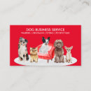 Search for hotel business cards Dog