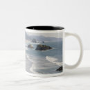 Search for northwest coast mugs Environment