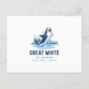 Search for shark postcards Great white shark