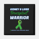 Search for liver magnets Kidney