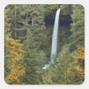 Search for silver state stickers Falls
