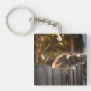 Search for fencing key rings Cat