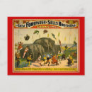 Search for circus postcards Advertisement