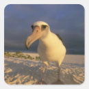 Search for hawaiian sunset stickers Island