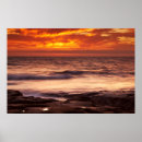 Search for tide pool posters Coast