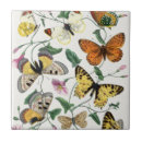 Search for butterfly tiles Moth