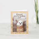 Search for dog get well cards Chihuahua
