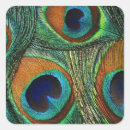 Search for teal blue seals envelope seals Peacock