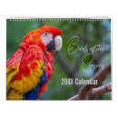 Search for months office supplies Elegant