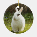 Search for white rabbit christmas tree decorations Cute