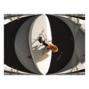 Search for ant posters Bugs