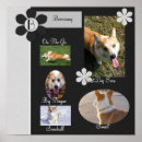 Search for scrap book Scrapbooking