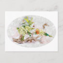 Search for bella postcards Beautiful