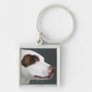 Search for bull head key rings Animal body part