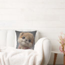 Search for pet baby kids Fun
