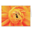 Search for multiple sclerosis flower Summer