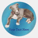 Search for blue animal stickers For kids