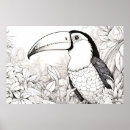 Search for toucans art Nature