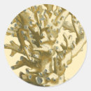 Search for sea coral stickers Ocean