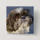 Search for tzu badges Adorable