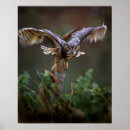 Search for pine trees posters Usa