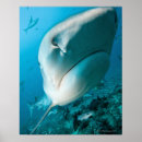 Search for medium group of objects posters Vertical