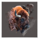 Search for buffalo head art Nature