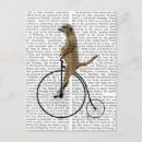 Search for farthing postcards Meerkat