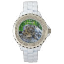 Search for predator watches Big cat