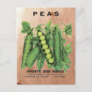 Search for vintage seed packets postcards Seeds