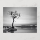 Search for outdoor scenery cards Majestic
