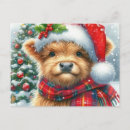 Search for highland cow cards invites Modern