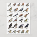 Search for planche Jardin
