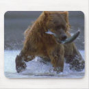 Search for grizzly bear mousepads Bears