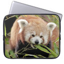 Search for red panda electronics Cute