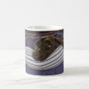 Search for labrador retriever mugs Pet