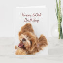 Search for fun 60th birthday cards Cute