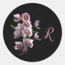 Search for black orchids stickers Flower