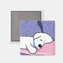 Search for bichons magnets Dog