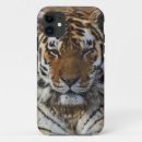 Search for captivity iphone cases Animal