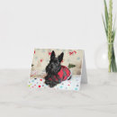 Search for terrier christmas cards Scottie