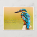 Search for 34 postcards Lord