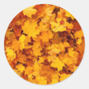 Search for summer season stickers Fall