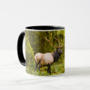 Search for elk antlers mugs Alaska
