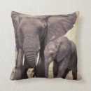 Search for environment cushions Nature