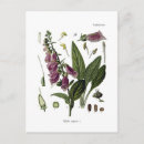 Search for vintage birthday postcards Floral