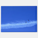 Search for flying birds magnets Blue