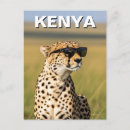 Search for kenya postcards Cheetah